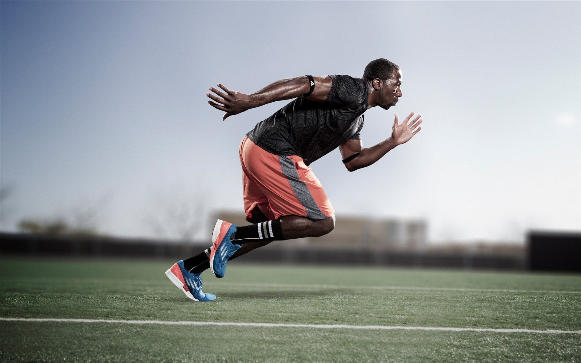 多项目均衡发展,实力逐步增强,多项目均衡发展,实力逐步增强什么能力